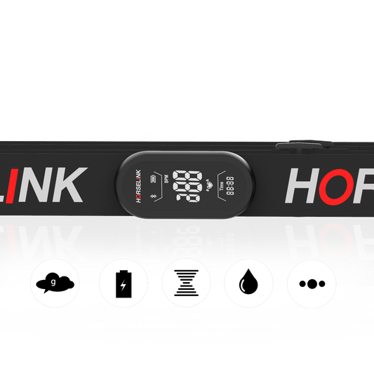 Horselink Equine Heart Rate Belt Training Kit (HRM+Belt+Handle)